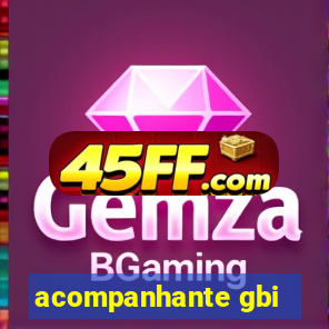 acompanhante gbi